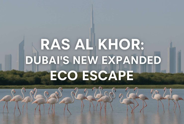 Ras Al Khor: Dubai’s New Expanded Eco Escape