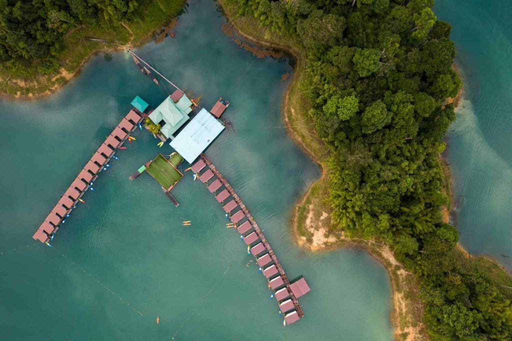 Discover the Expanded Mangrove Forests