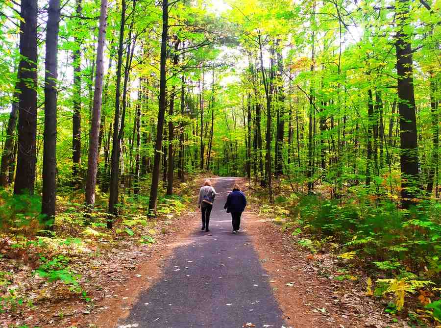 New Eco Trails and Walkways for Nature Lovers